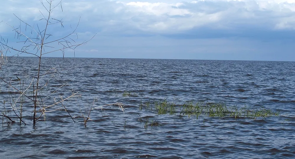 Lake Okeechobee viewed from Canal Point.